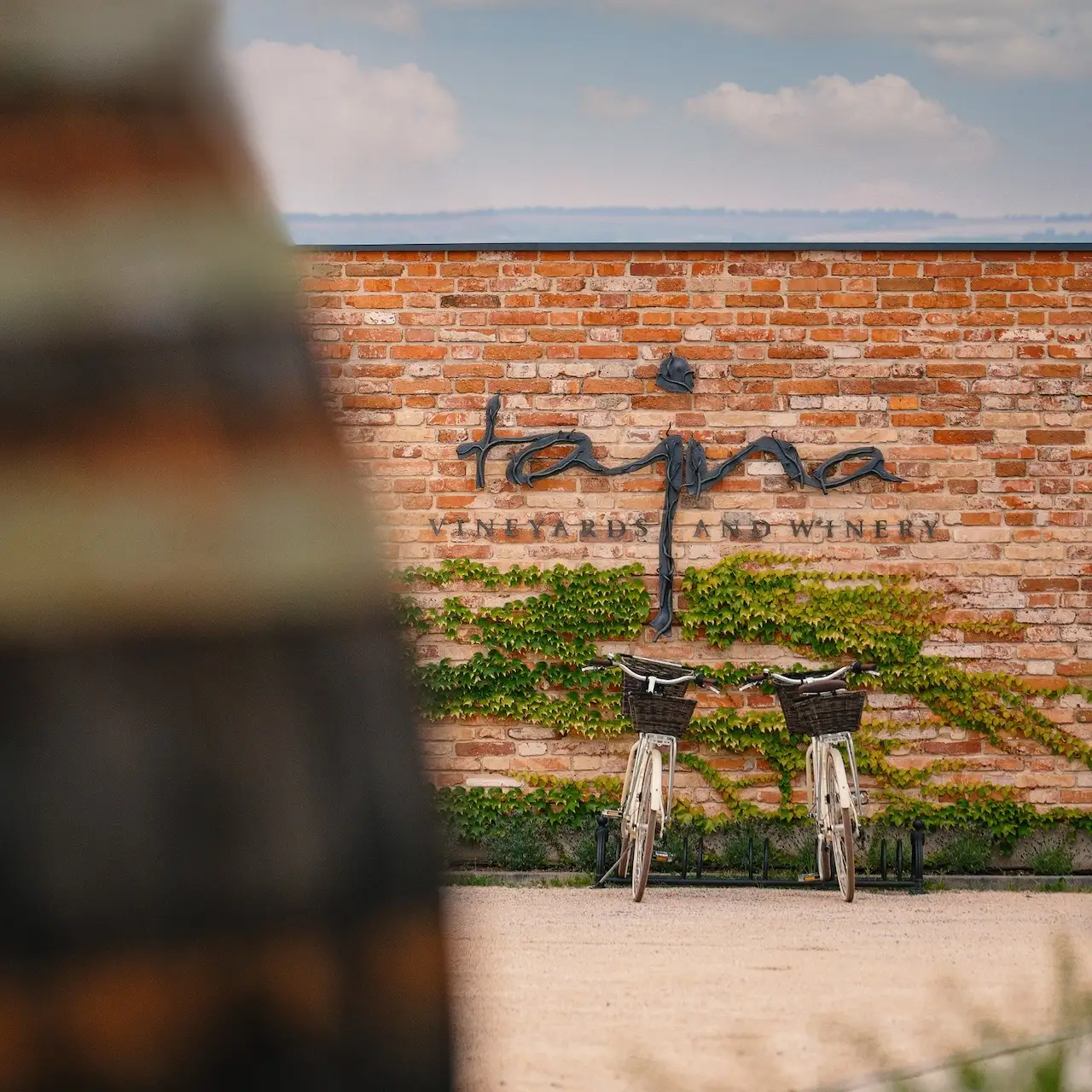 vinárstvo, vinohrady, tajna